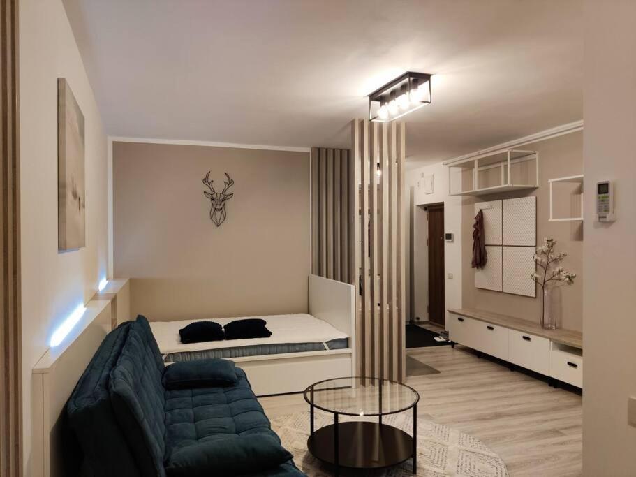 Joy City Stay Vivalia V6A-41 Timişoara Exterior foto